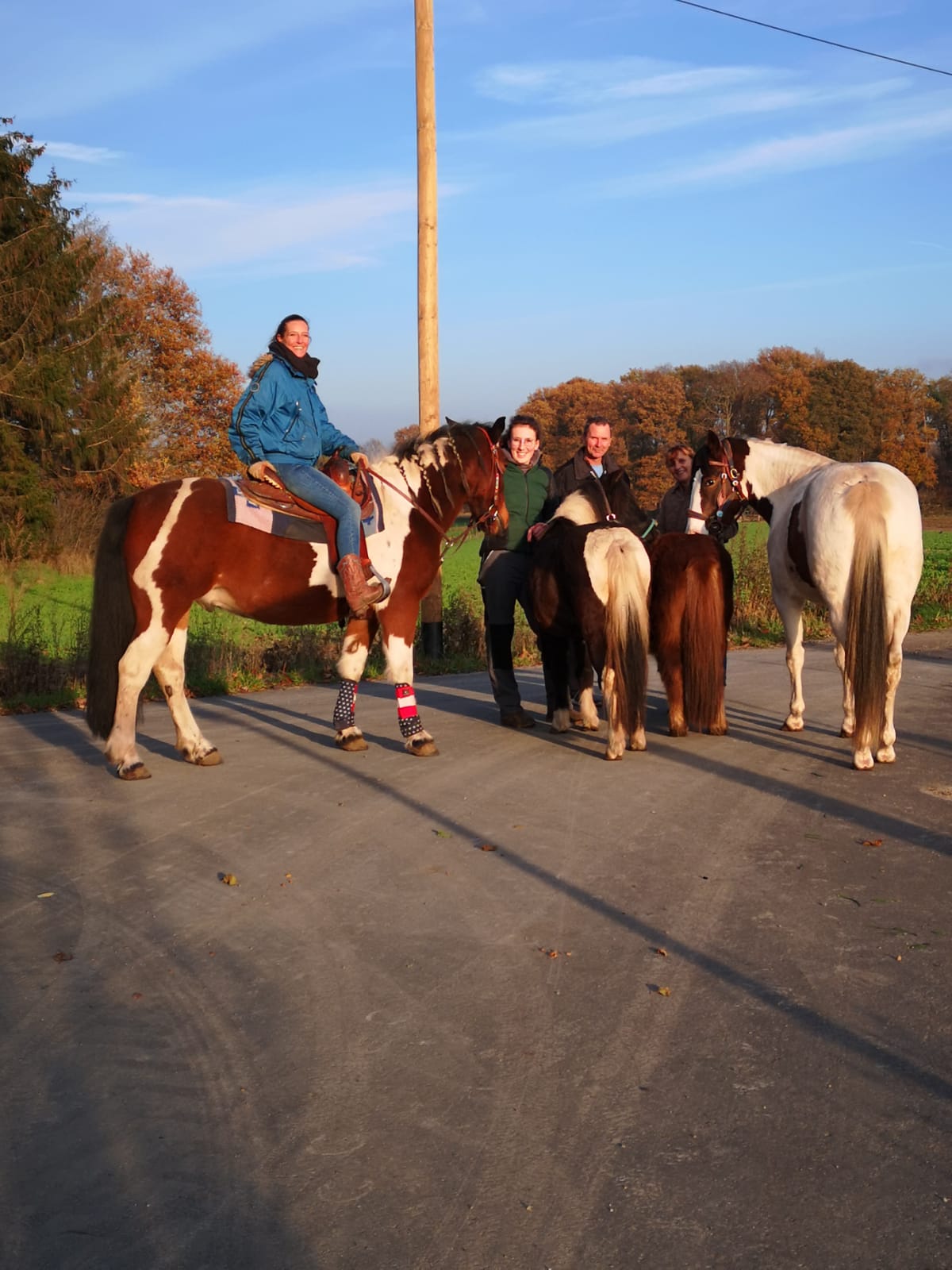 Ausflug mit Pony & Pferd